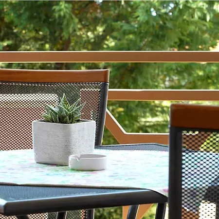 And Camaiore 게스트하우스 4*